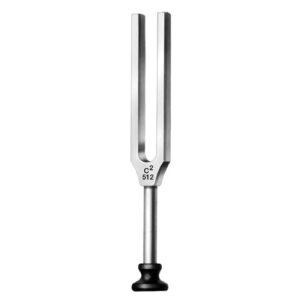 Tuning Fork
