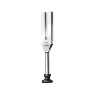 Tuning Fork